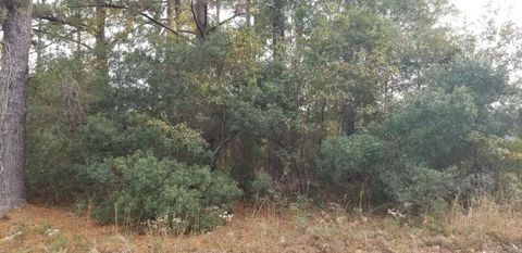 0 Rearden Avenue Walterboro SC 29488