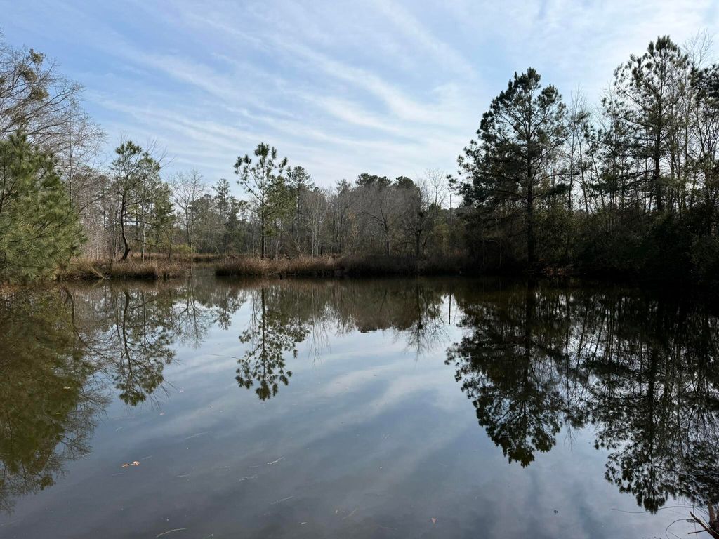 Photo of 5191 Savannah Highway, North, SC 29112 (MLS # 26004593)