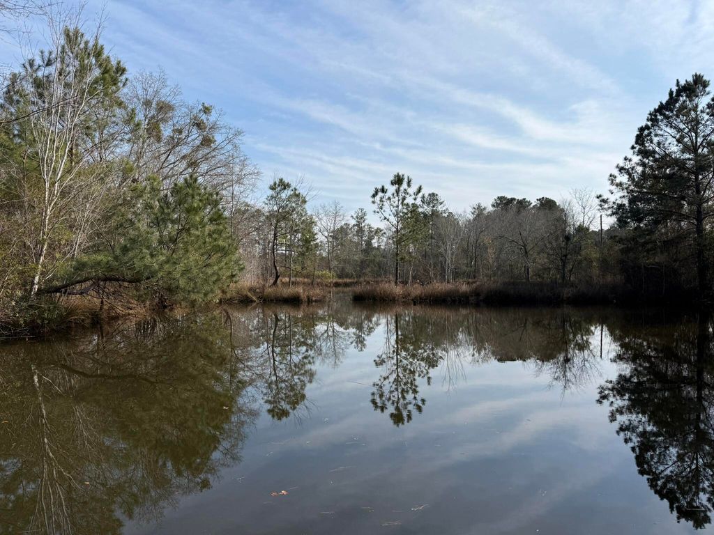 Photo of 5191 Savannah Highway, North, SC 29112 (MLS # 26004593)