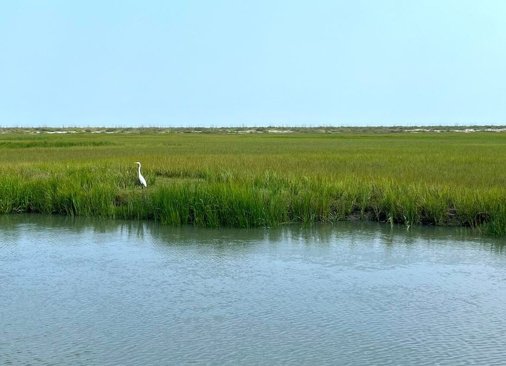 Photo of 0 Hammocks Way, Edisto Island, SC 29438 (MLS # 24019575)