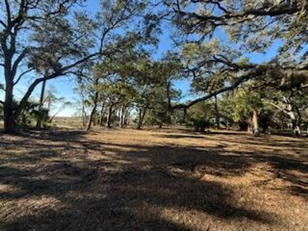 Photo of 0 Hammocks Way, Edisto Island, SC 29438 (MLS # 24019575)