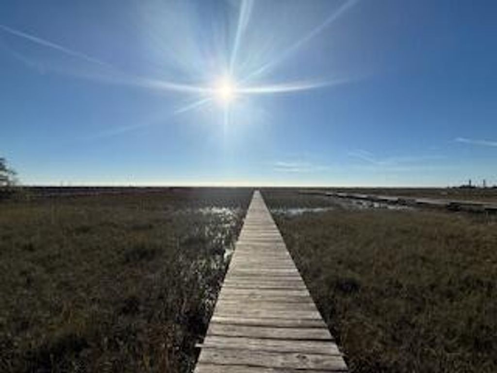 Photo of 0 Hammocks Way, Edisto Island, SC 29438 (MLS # 24019575)