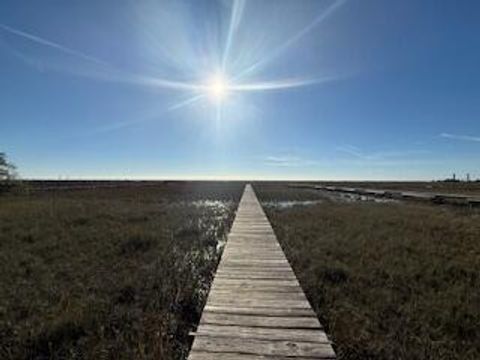 0 Hammocks Way Edisto Island SC 29438