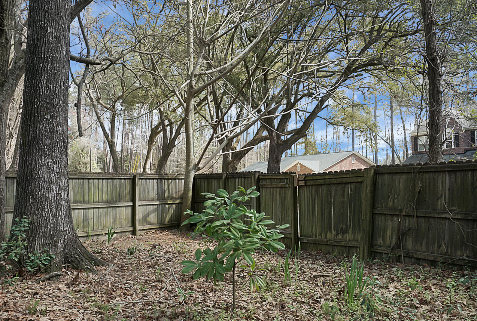 Photo 40 of 42 of 127 Lipman Street house
