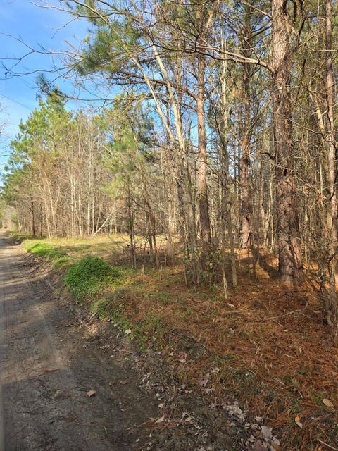 00 Whitestone Drive Reevesville SC 29471