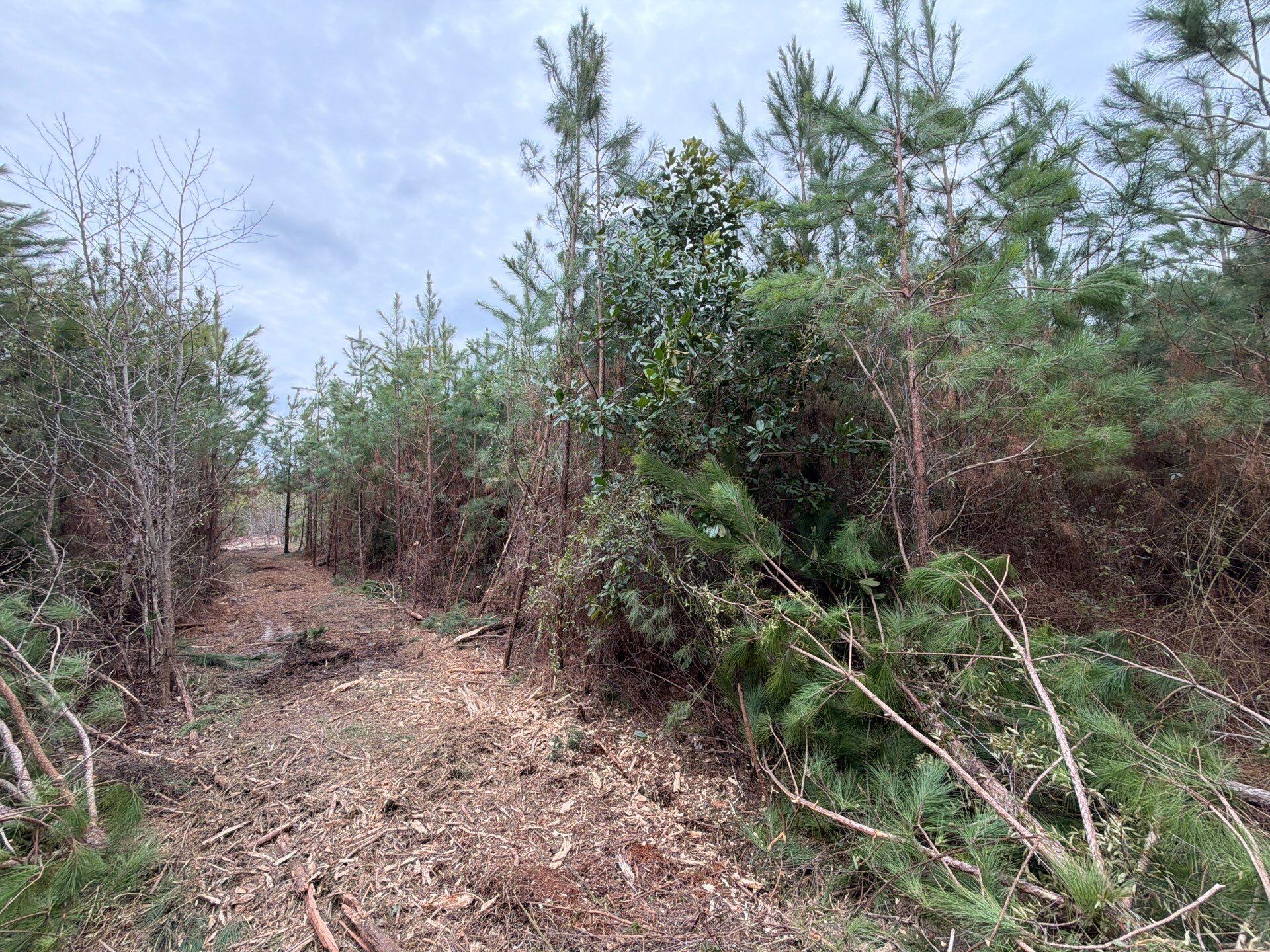 Bff Ii 5 Brunson Teal Rd Road