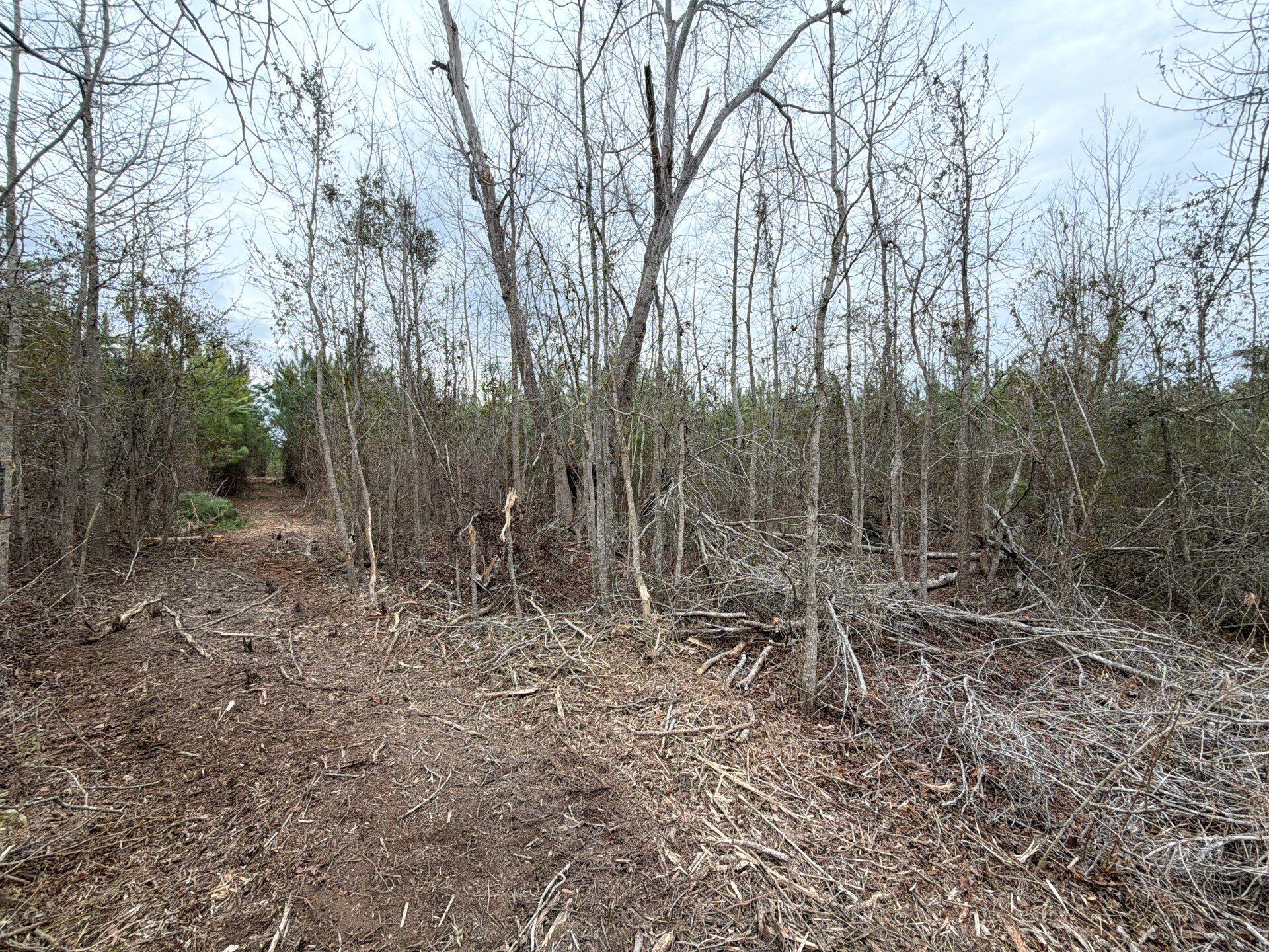 Bff Ii 5 Brunson Teal Rd Road