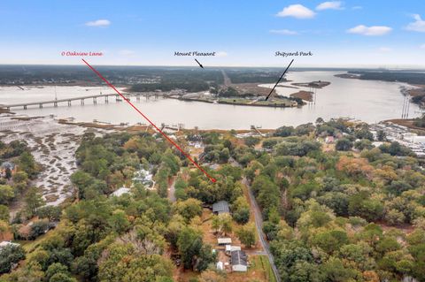 0 Oakview Lane Wando SC 29492