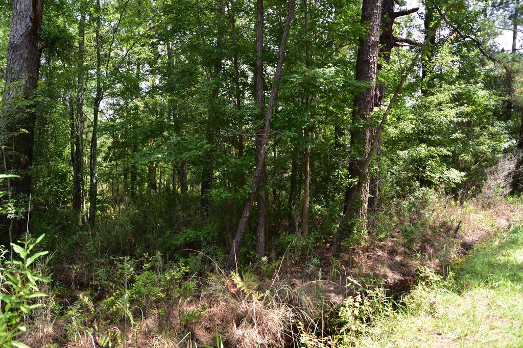Photo of 0 Cherry Hill Road, Hollywood, SC 29449 (MLS # 25023693)