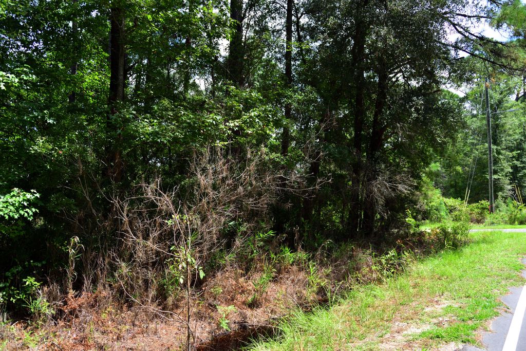 Photo of 0 Cherry Hill Road, Hollywood, SC 29449 (MLS # 25023693)