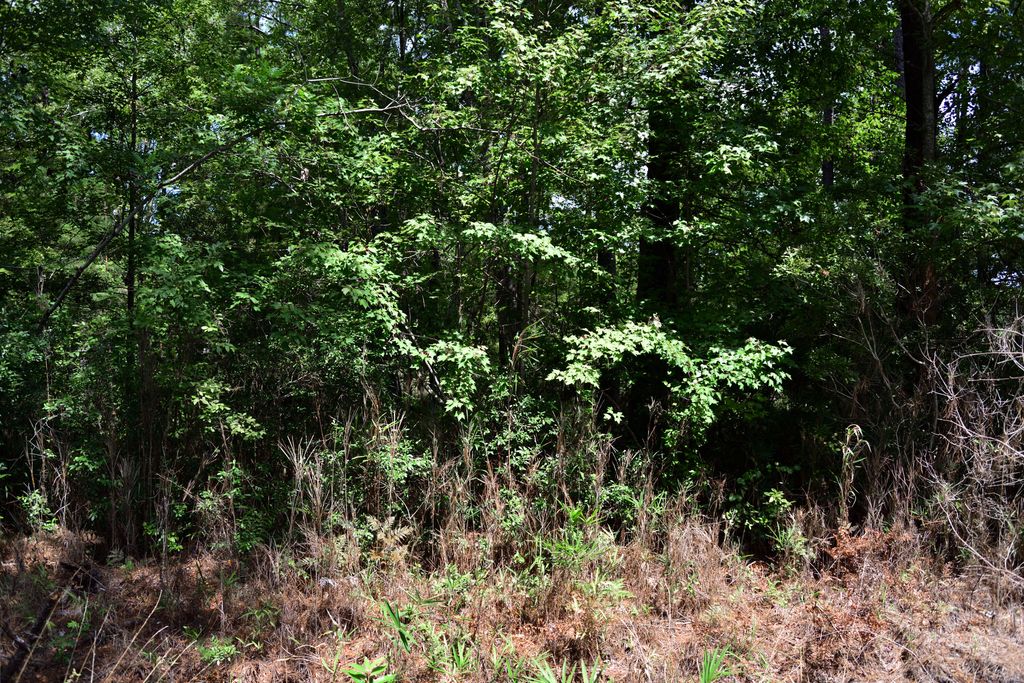 Photo of 0 Cherry Hill Road, Hollywood, SC 29449 (MLS # 25023693)