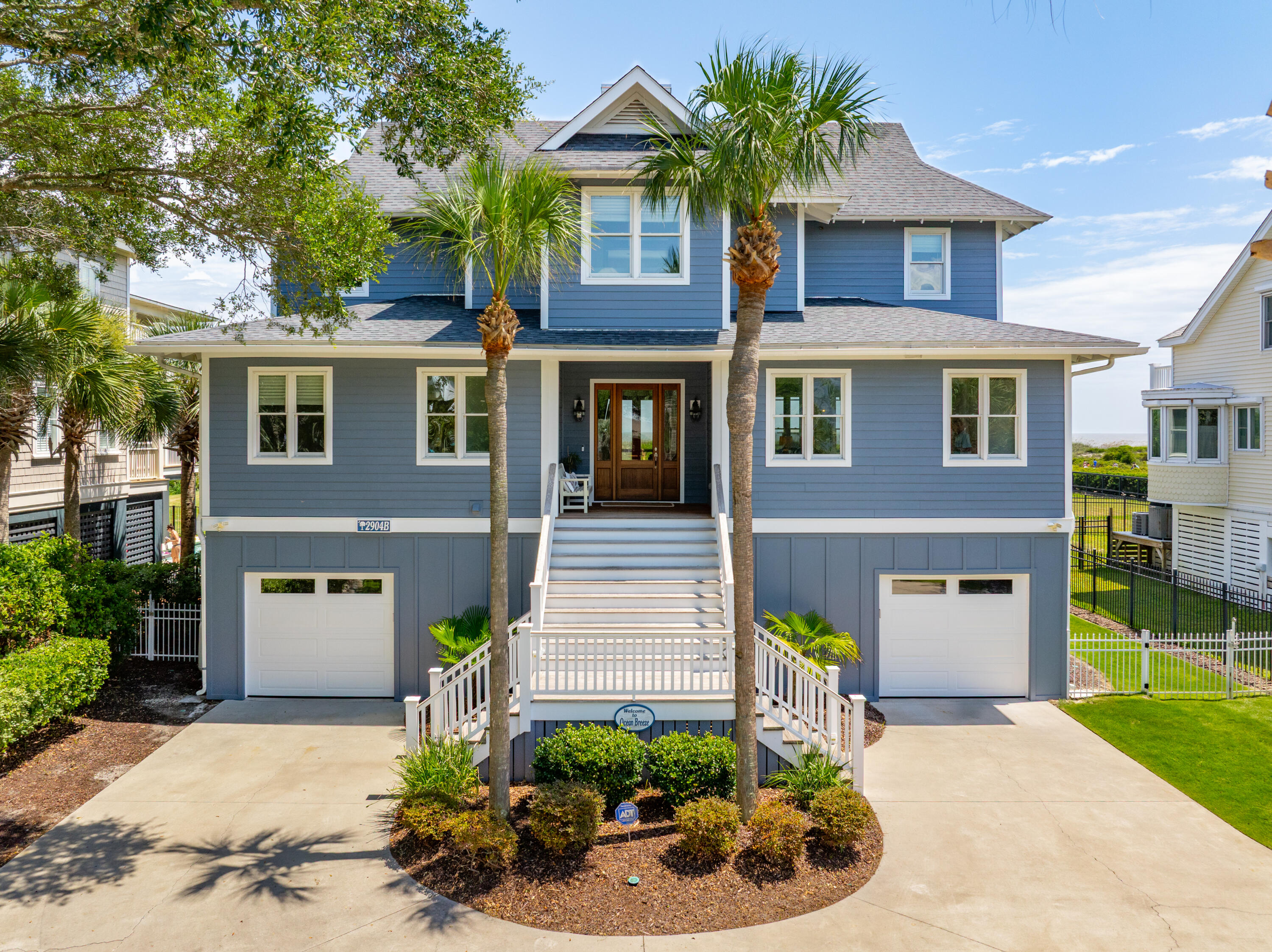 2904b Palm
