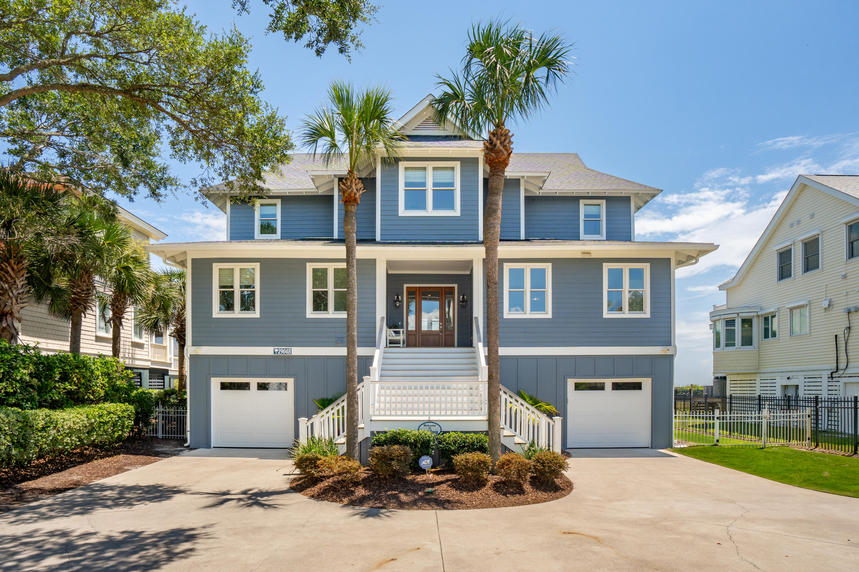 2904b Palm