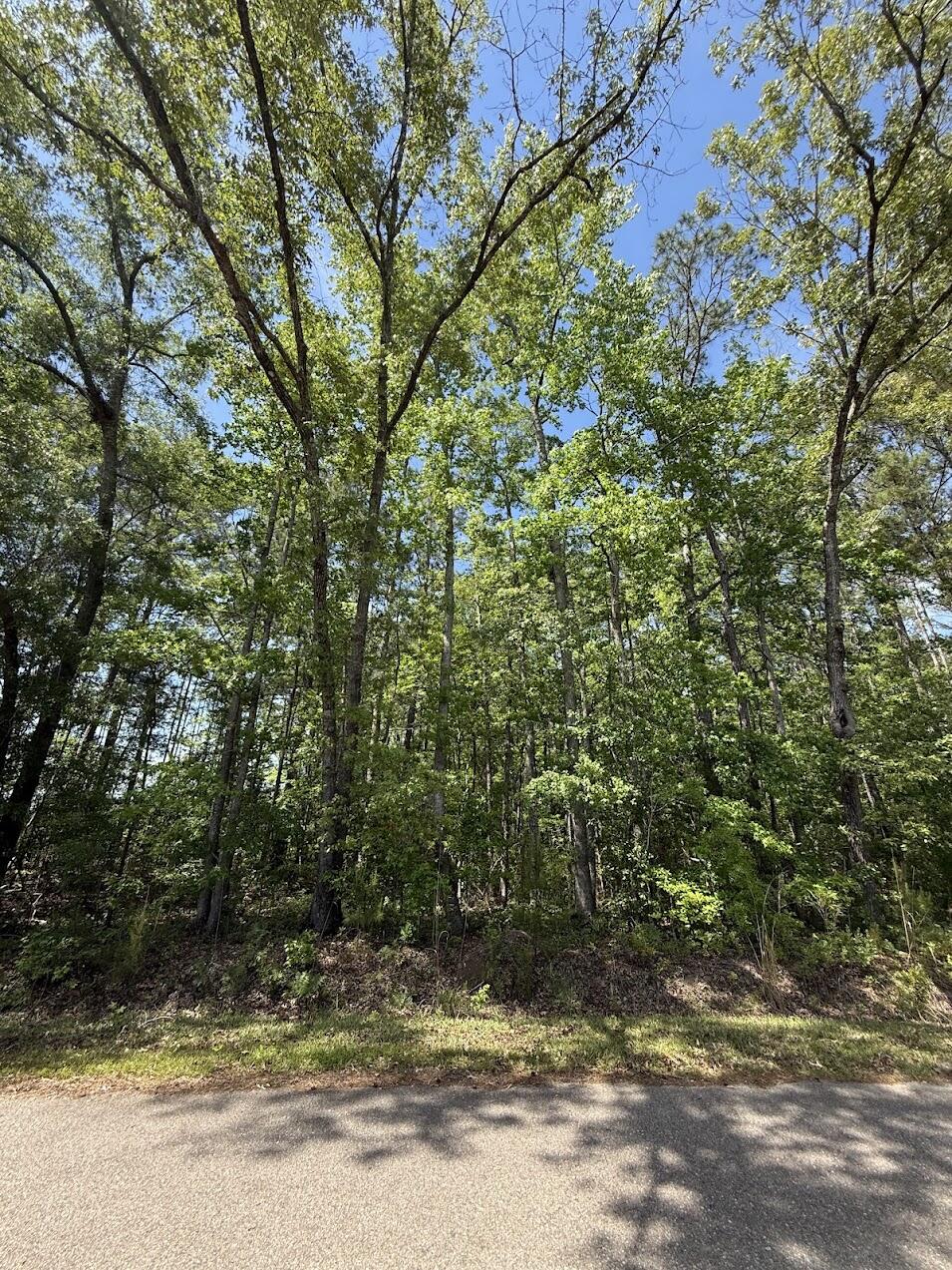 0 Moffett Road