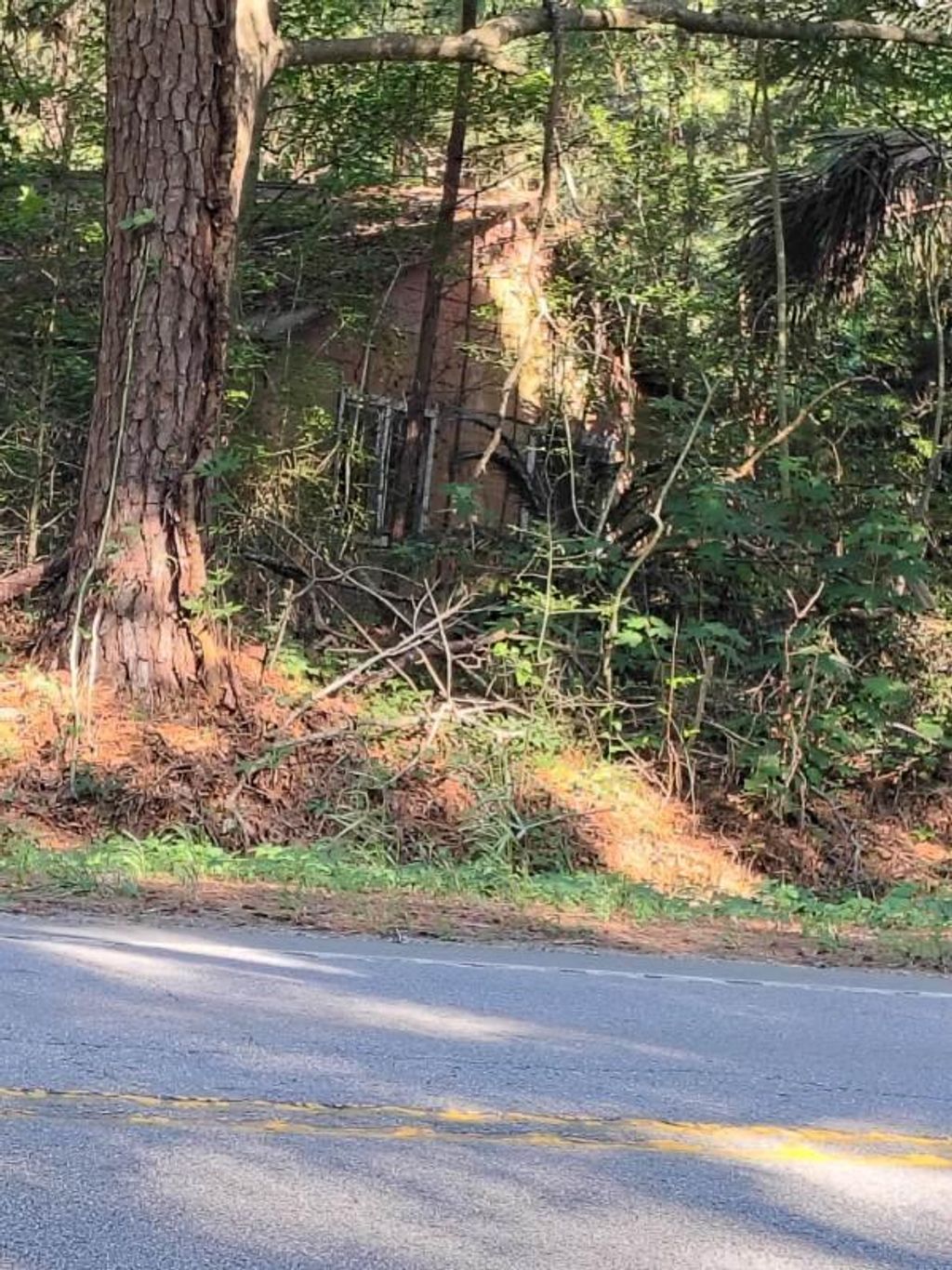 Photo of 3563 Bohicket Road, Johns Island, SC 29455 (MLS # 26014562)