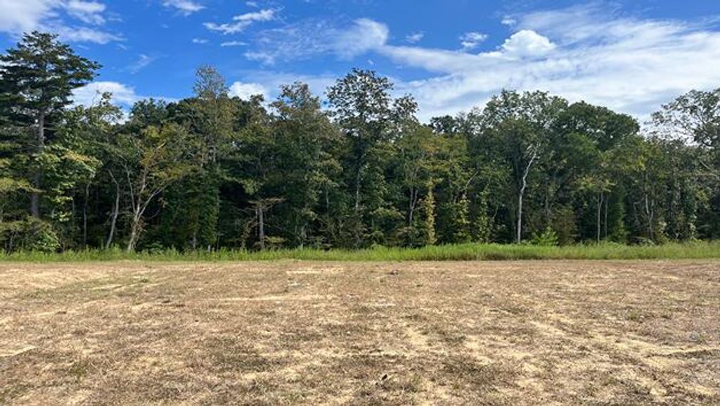 Photo of 454 Tulip Poplar Drive, Moncks Corner, SC 29461 (MLS # 25026746)