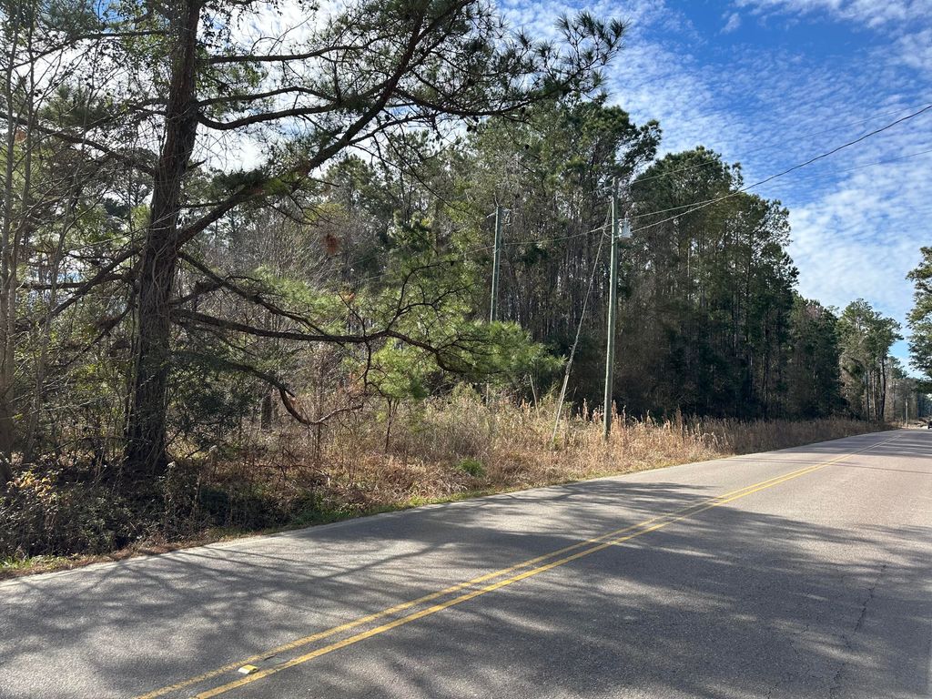 Photo of 0 Renau Boulevard #Lot 6, Summerville, SC 29483 (MLS # 26004313)