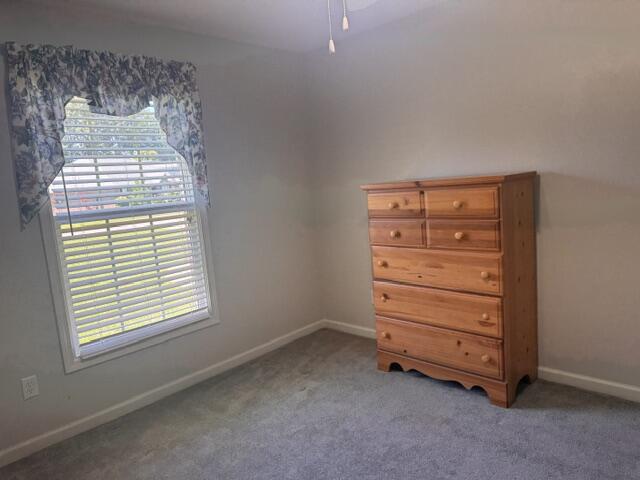1032 Longleaf Drive