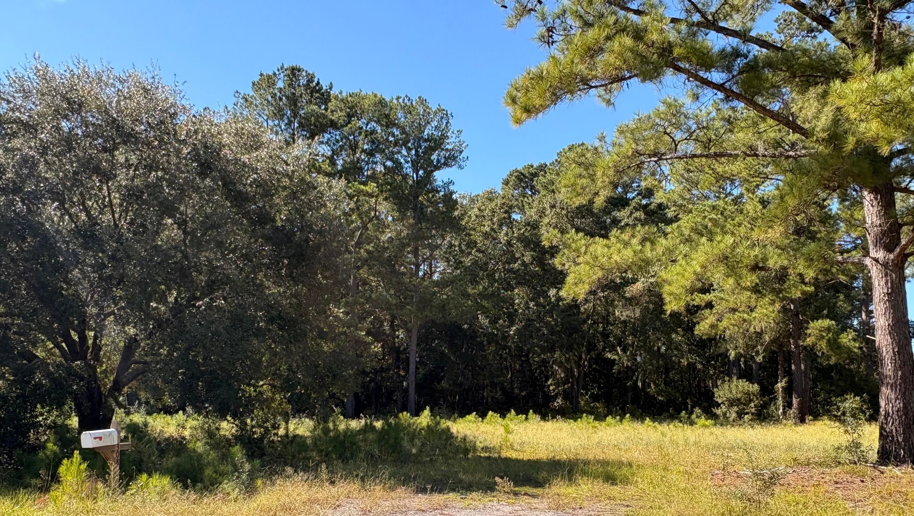 308 Piney Grove Road