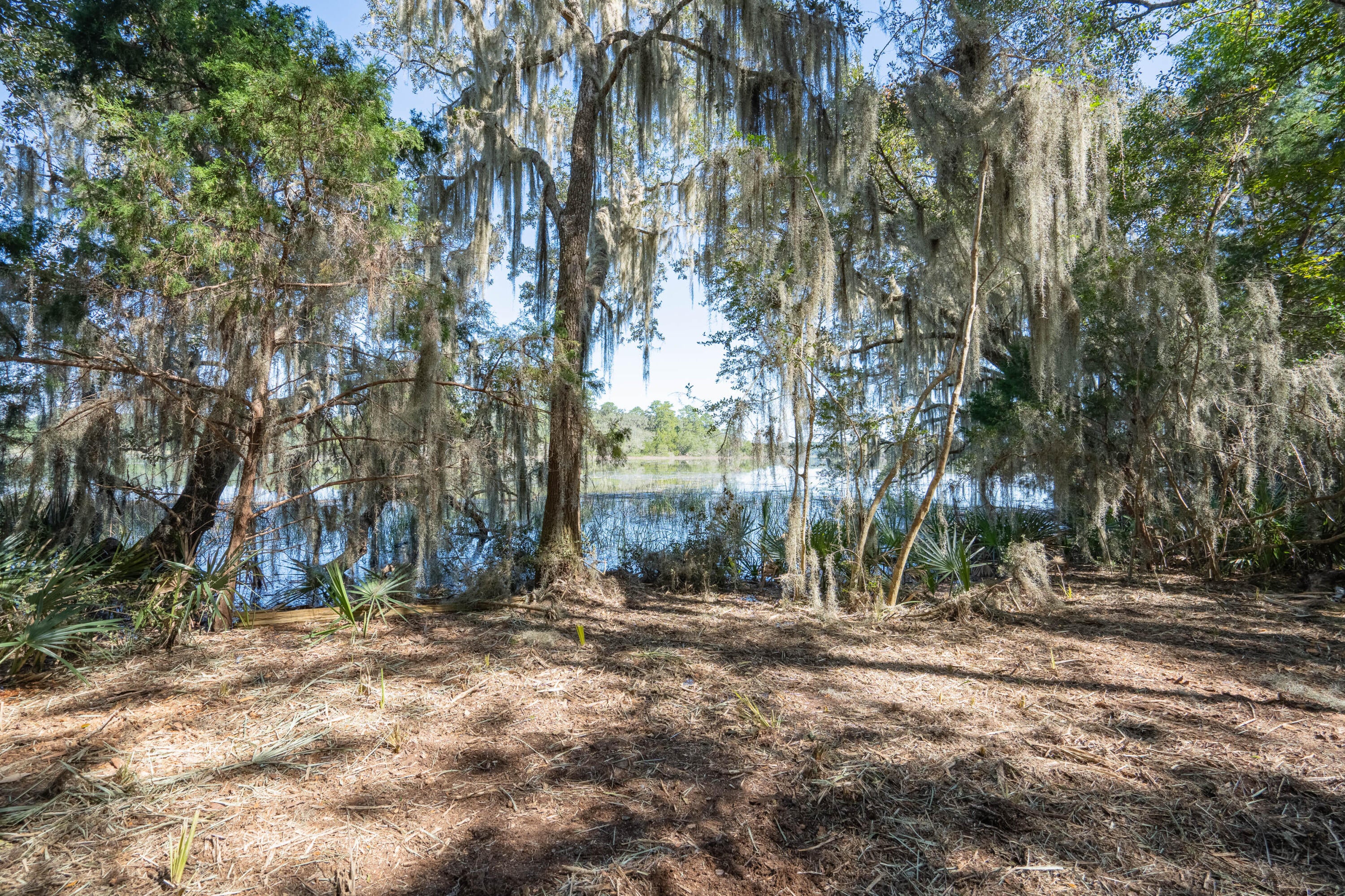 501 Paige Point Road