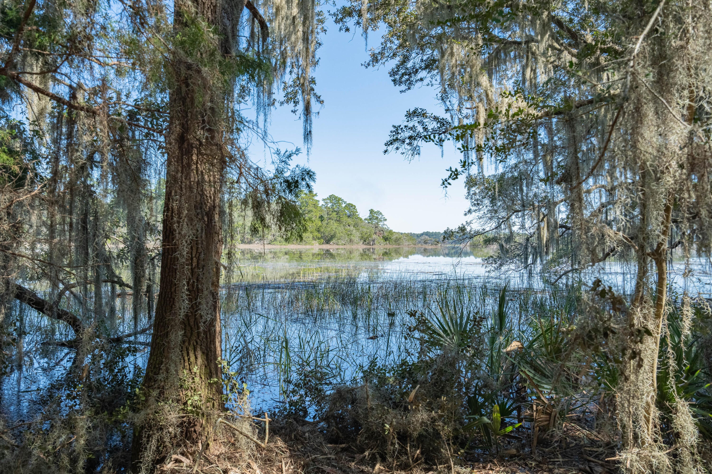 501 Paige Point Road