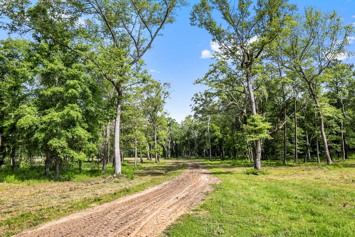0 Allandale Plantation Road