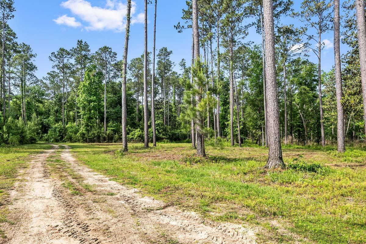 0 Allandale Plantation Road