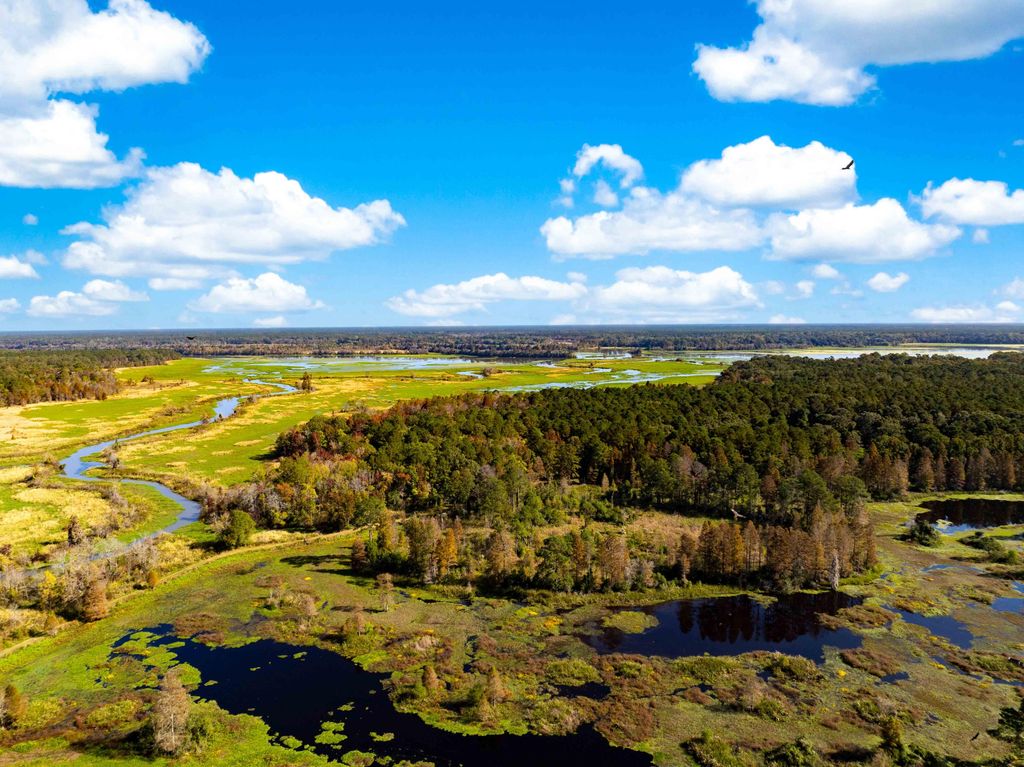 Photo of 0 Point Comfort, Moncks Corner, SC 29461 (MLS # 24028043)
