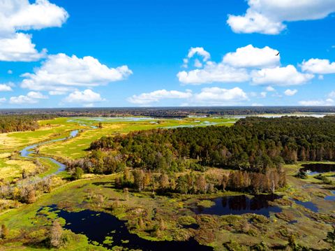 Photo of 0 Point Comfort, Moncks Corner, SC 29461 (MLS # 24028043)