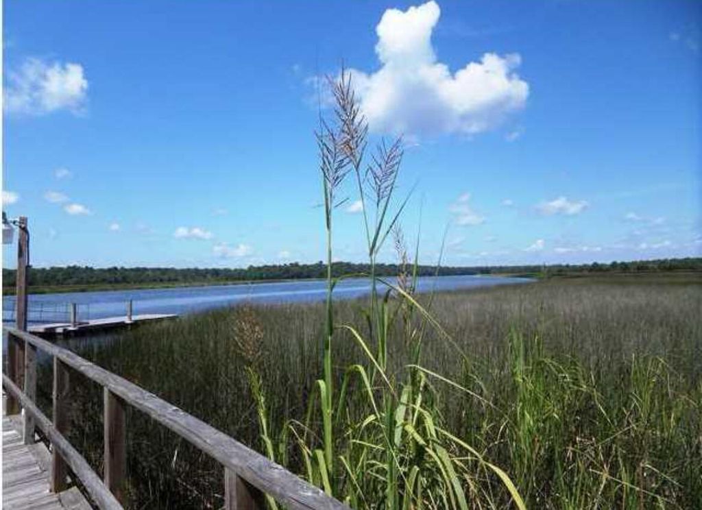 Photo of 4543 Great Oak Drive, North Charleston, SC 29418 (MLS # 25025099)