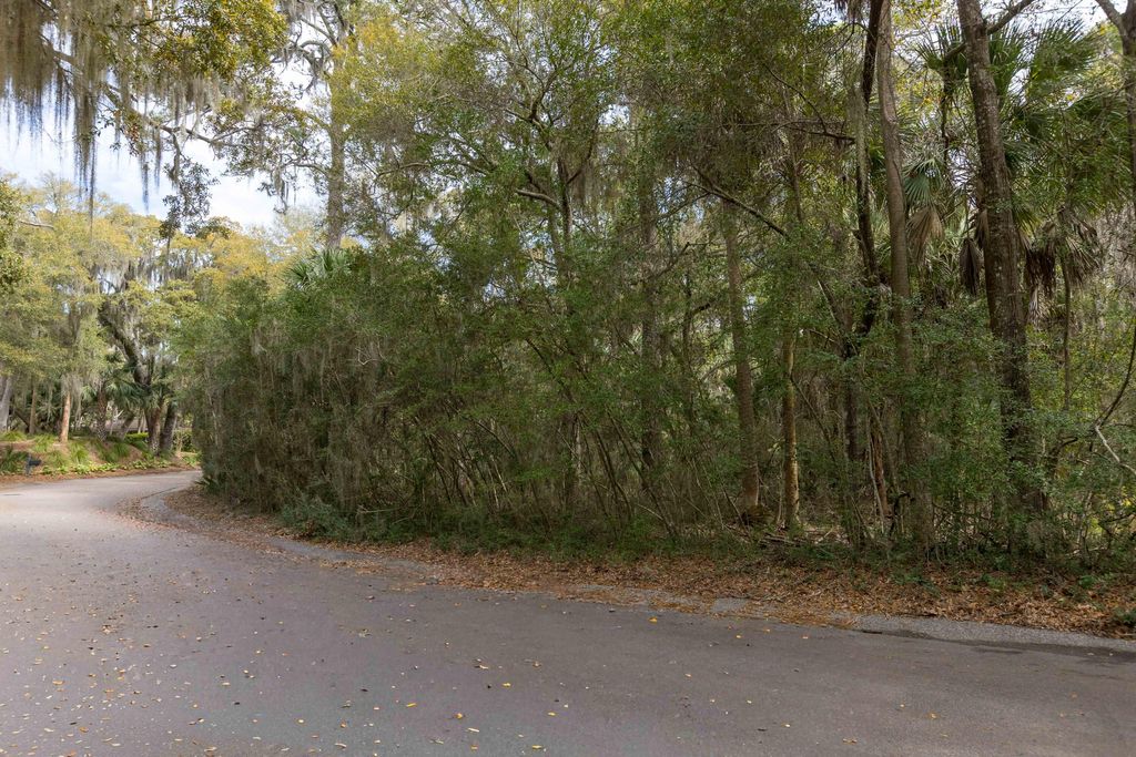 Photo of 2715 Gnarled Pine Pne, Johns Island, SC 29455 (MLS # 26006959)