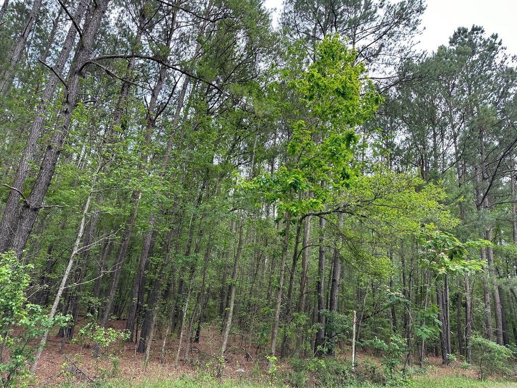 Photo of 02 Mallard Road, Summerville, SC 29483 (MLS # 25020374)