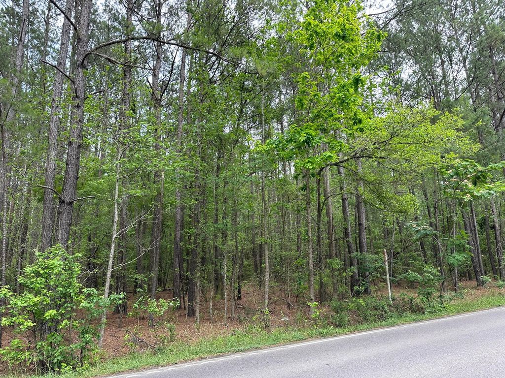Photo of 02 Mallard Road, Summerville, SC 29483 (MLS # 25020374)