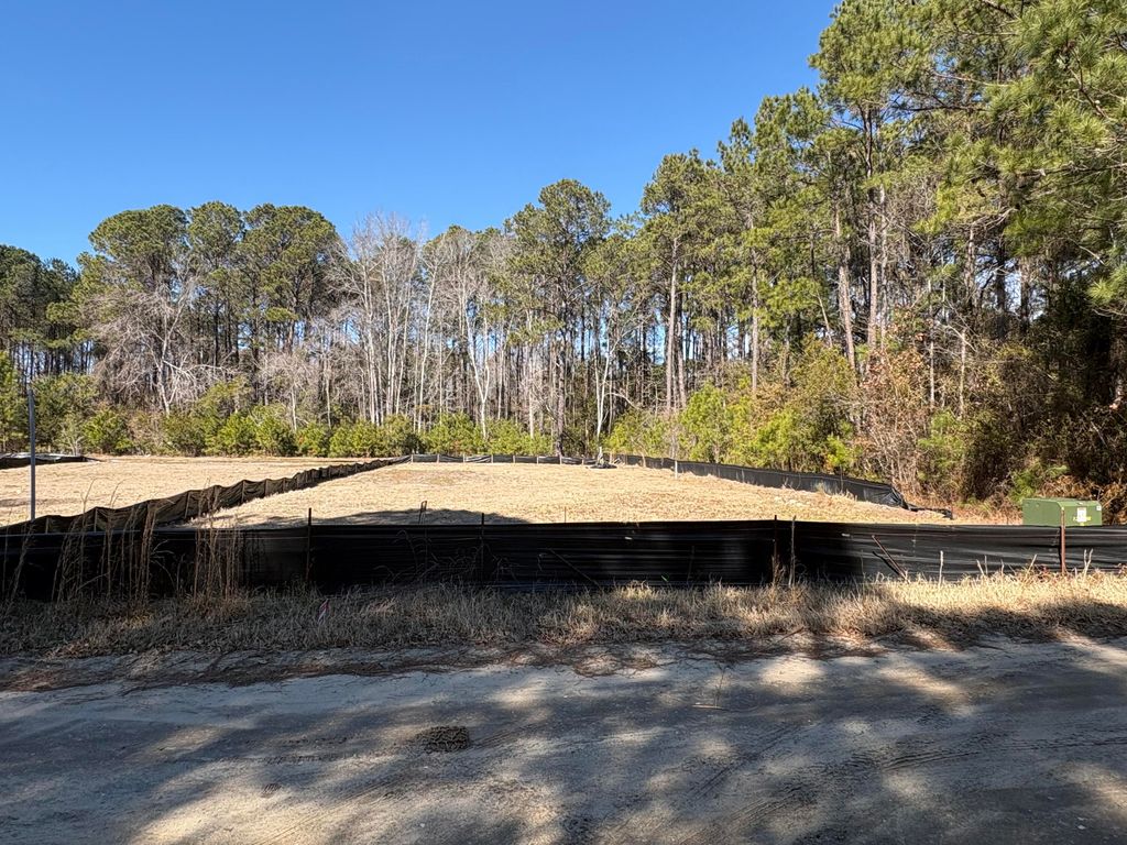 Photo of 3864 Abe White Road, Awendaw, SC 29429 (MLS # 26007995)