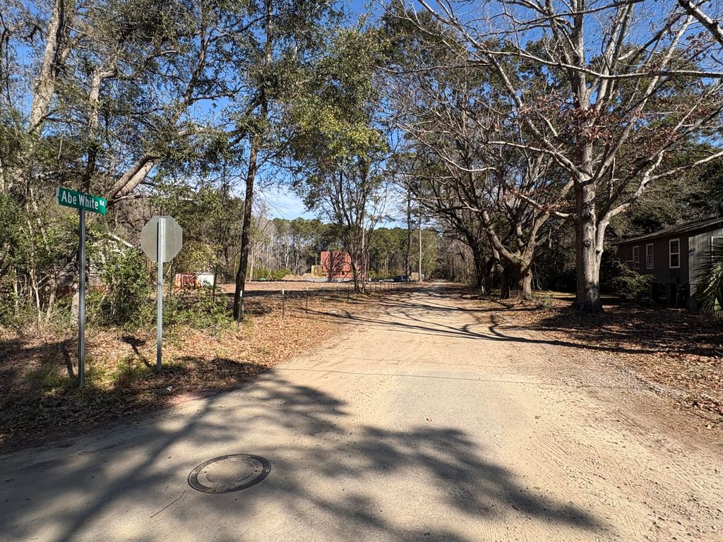 Photo of 3864 Abe White Road, Awendaw, SC 29429 (MLS # 26007995)