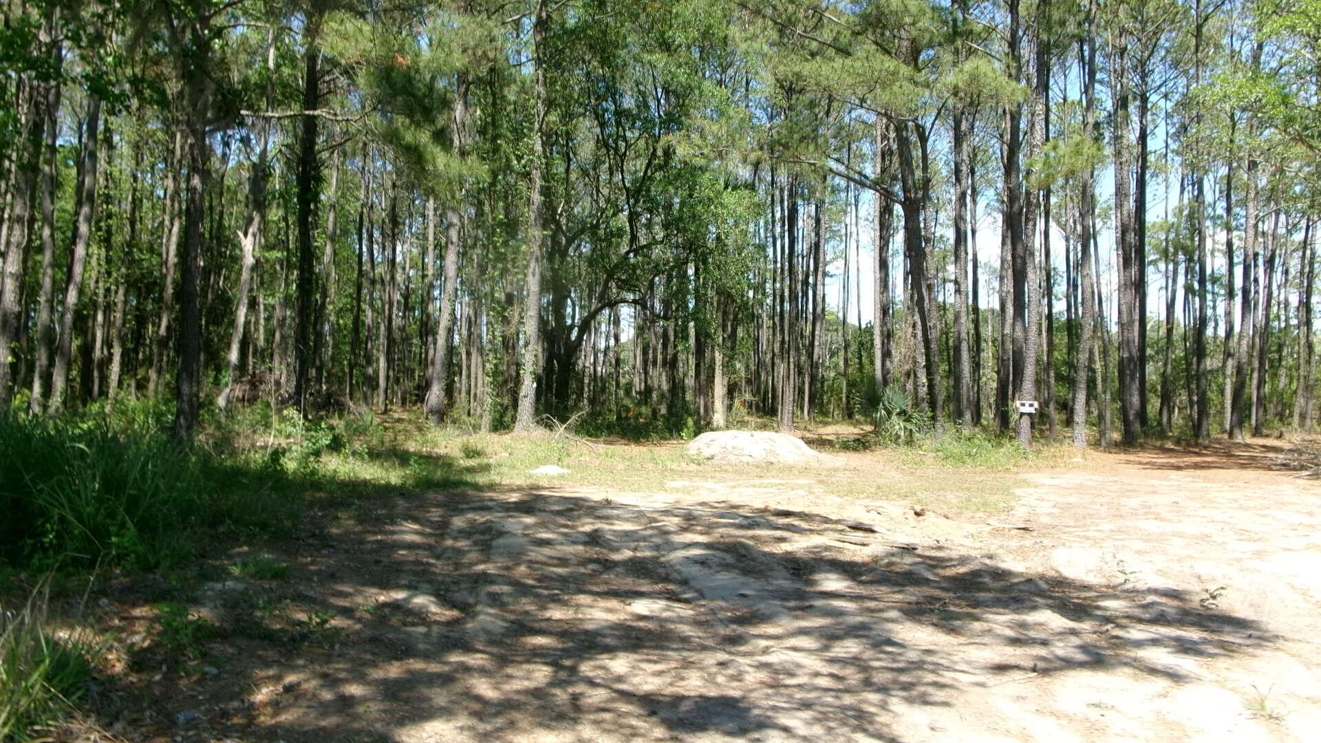 1108 Saint Thomas Island Drive, Wando, SC, 29492