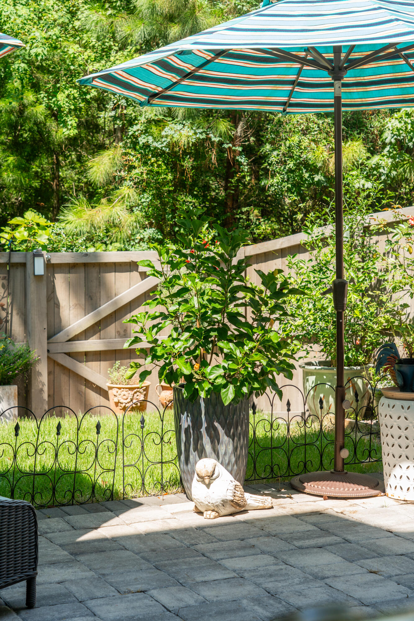 147 Claret Cup Way