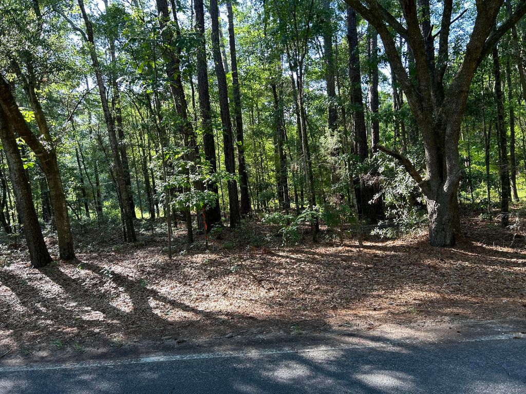 Photo of 1 Martin St. Ave, Ravenel, SC 29470 (MLS # 24013308)
