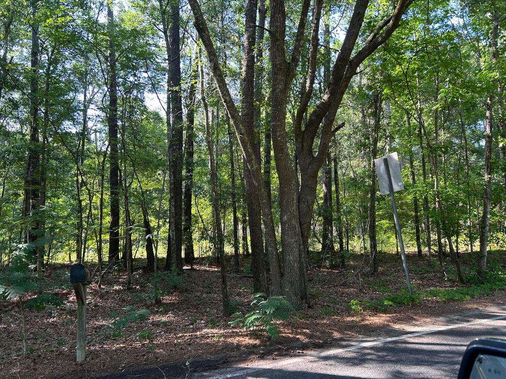 Photo of 1 Martin St. Ave, Ravenel, SC 29470 (MLS # 24013308)