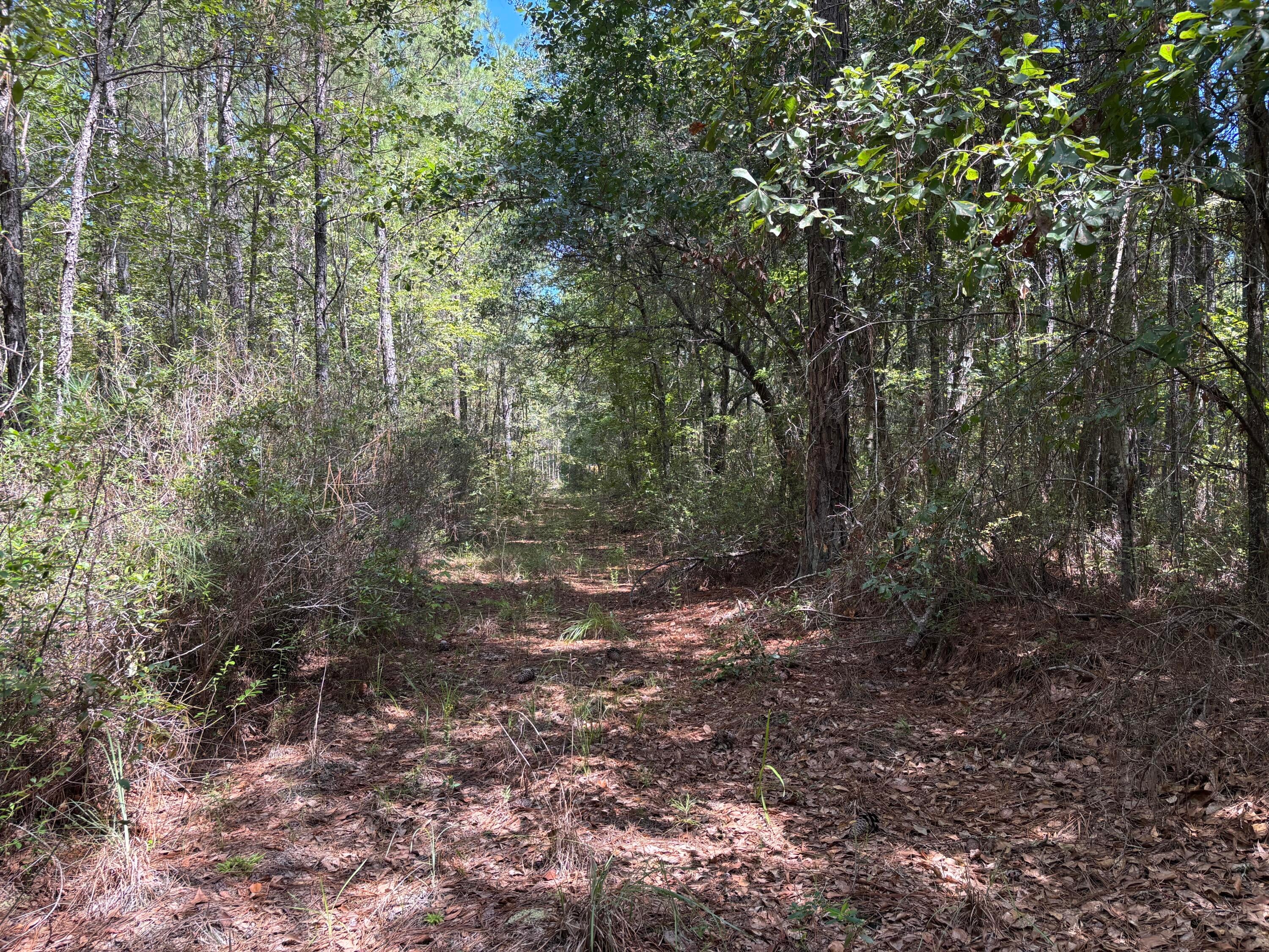 10 Red Oak Road