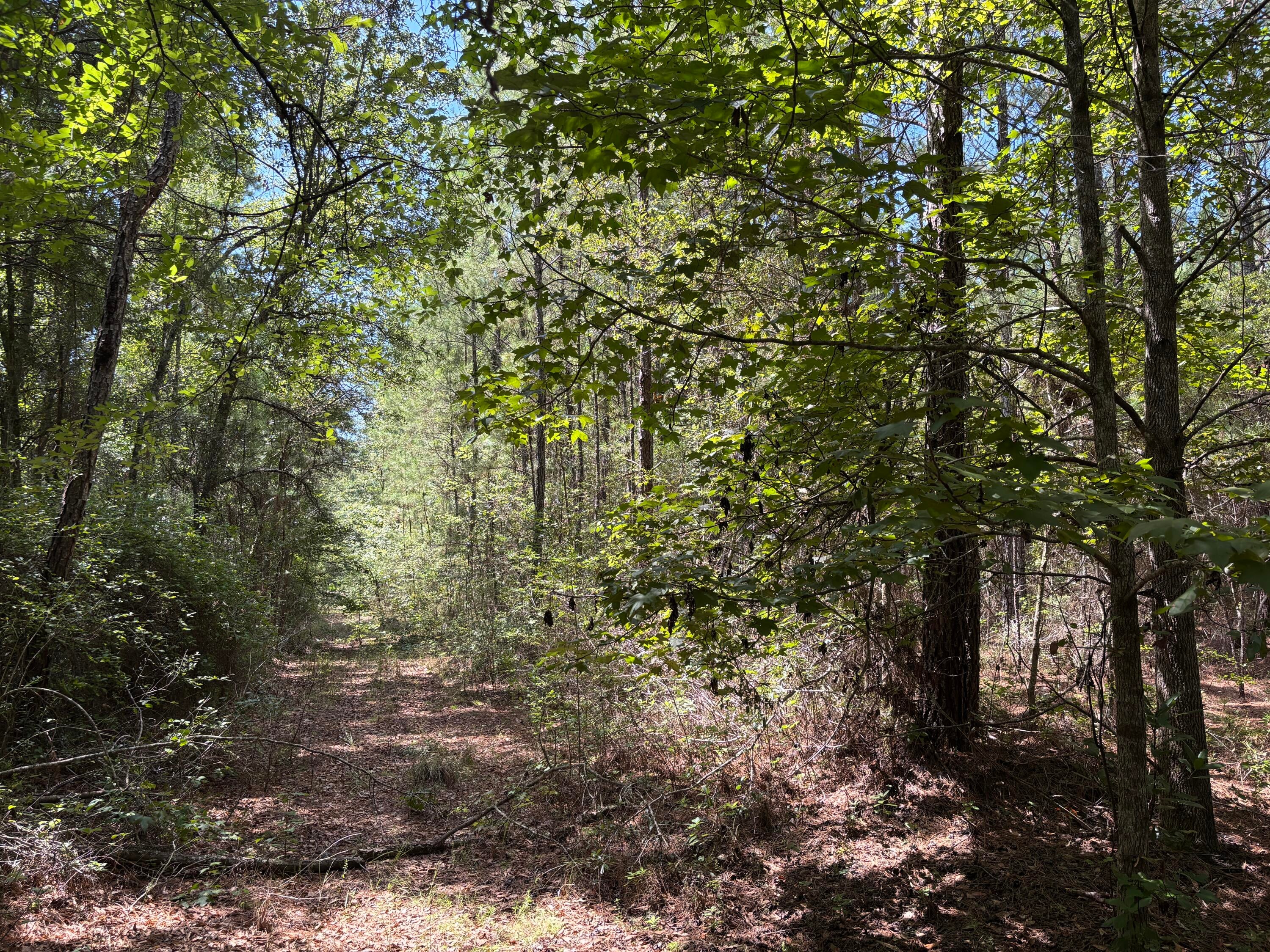 10 Red Oak Road