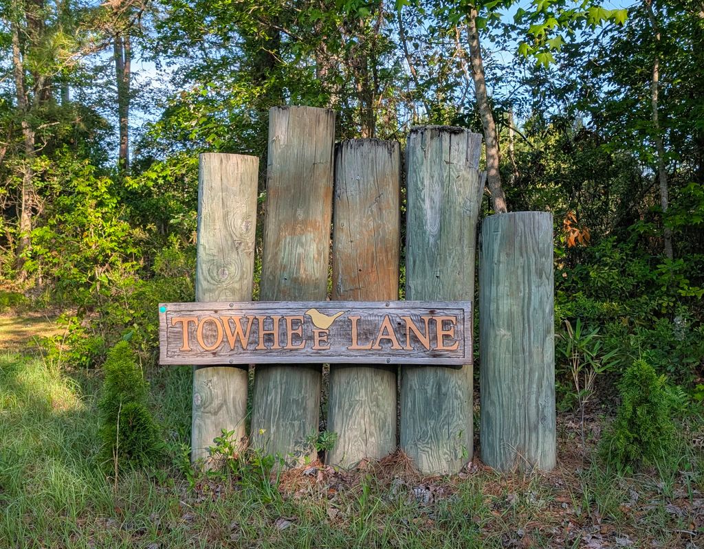 Photo of 1044 Towhee Lane, McClellanville, SC 29458 (MLS # 25012189)