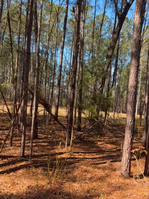 450 River Blf Trail Saint Stephen SC 29479