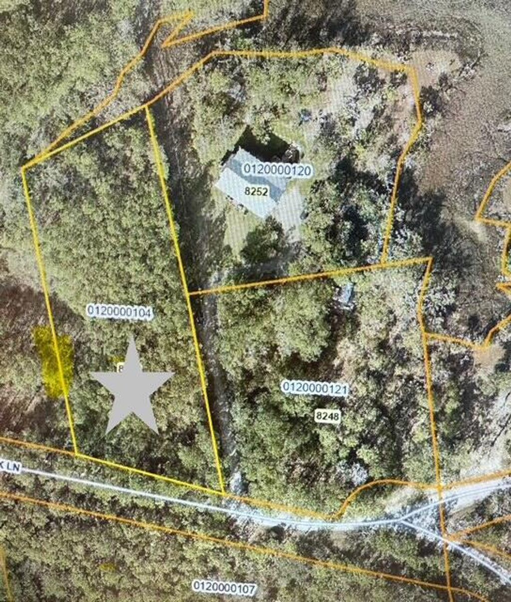 Photo of 0 Crooked Creek Lane, Edisto Island, SC 29438 (MLS # 25025266)