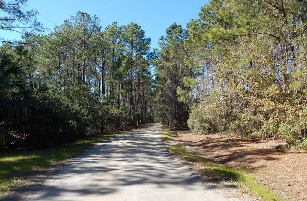 Photo of 0 Crooked Creek Lane, Edisto Island, SC 29438 (MLS # 25025266)
