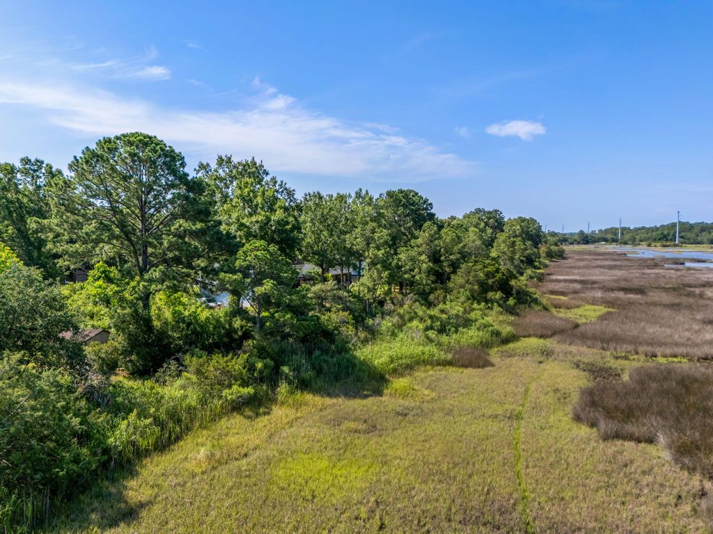 Photo of 821 Longbranch Drive, Charleston, SC 29414 (MLS # 26001881)