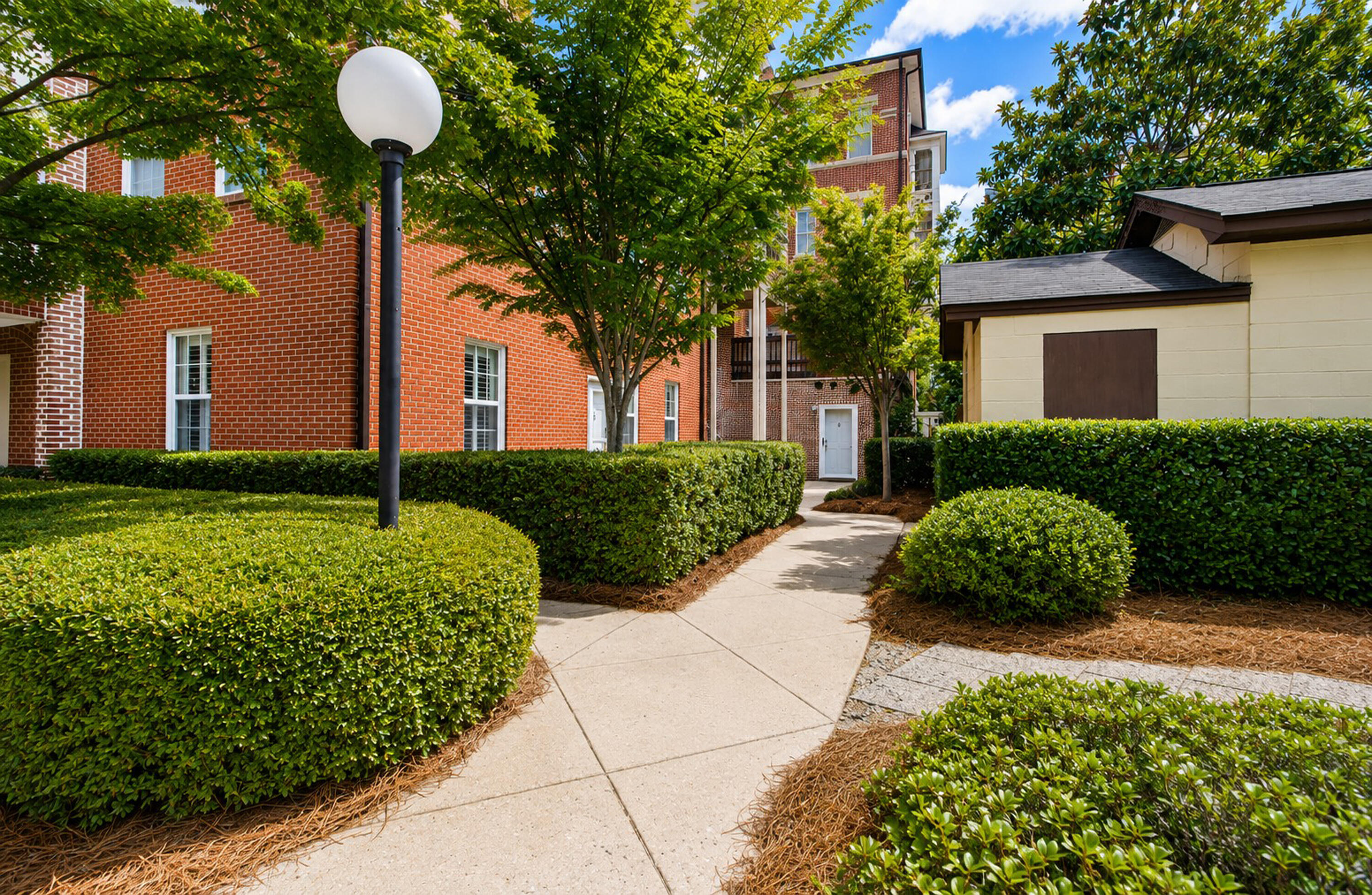 55 Ashley Avenue Apt 5