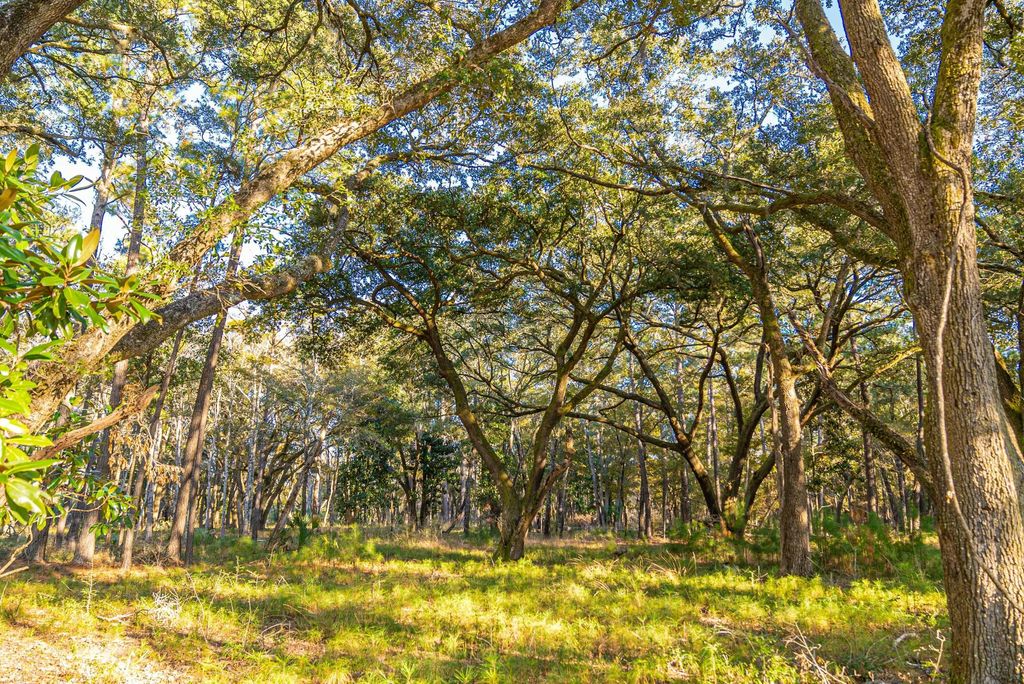 Photo of Lot 6 King Rail Lane, Edisto Island, SC 29438 (MLS # 25013677)