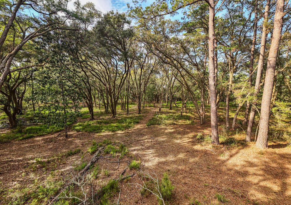 Photo of Lot 6 King Rail Lane, Edisto Island, SC 29438 (MLS # 25013677)