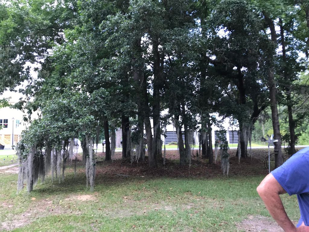 Photo of 1315 Lieben Road, Mount Pleasant, SC 29466 (MLS # 25029504)